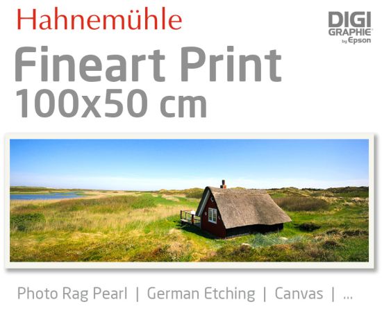 100x50 cm Fineart Druck mit 1440x2880 DPI auf Hahnemühle Fineart-Papieren wie Photo Rag, German Etching, Canvas, Premium Photo Glossy