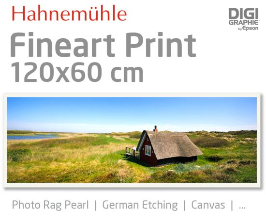 120x60 cm Fineart Druck mit 1440x2880 DPI auf Hahnemühle Fineart-Papieren wie Photo Rag, German Etching, Canvas, Premium Photo Glossy