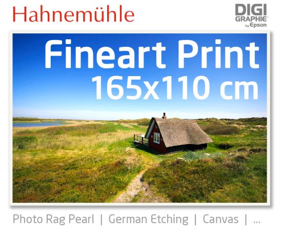 165x110 cm Fineart Druck mit 1440x2880 DPI auf Hahnemühle Fineart-Papieren wie Photo Rag, German Etching, Canvas, Premium Photo Glossy