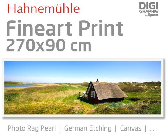 270x90 cm Fineart Druck mit 1440x2880 DPI auf Hahnemühle Fineart-Papieren wie Photo Rag, German Etching, Canvas, Premium Photo Glossy