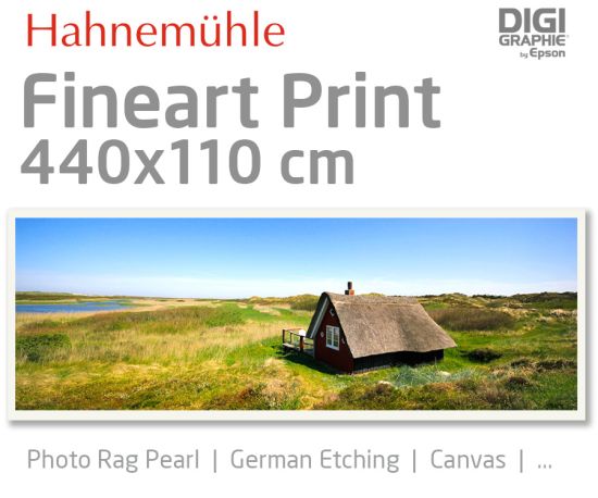 440x110 cm Fineart Druck mit 1440x2880 DPI auf Hahnemühle Fineart-Papieren wie Photo Rag, German Etching, Canvas, Premium Photo Glossy