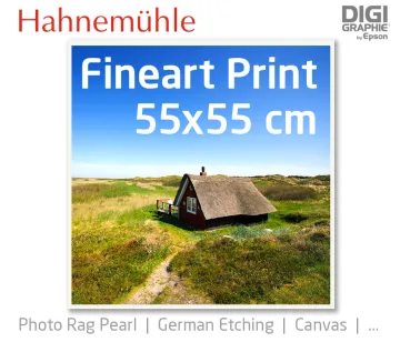 fineart print 55x55 cm