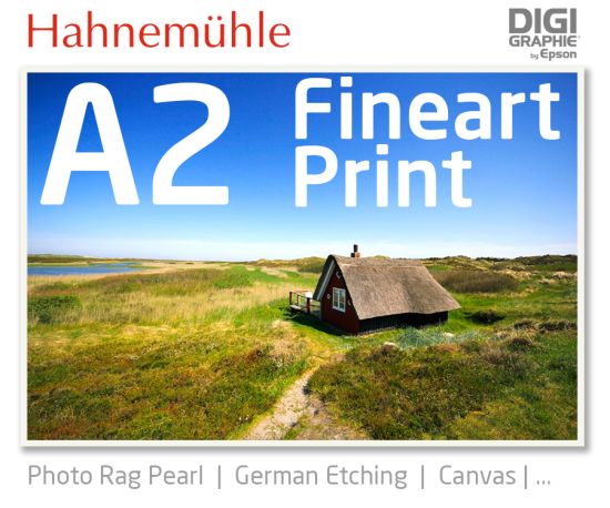 DIN A2 Fineart Druck mit 1440x2880 DPI auf Hahnemühle Fineart-Papieren wie Photo Rag, German Etching, Canvas, Premium Photo Glossy