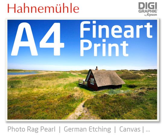 DIN A4 fineart print with 1440x2880 DPI on different Hahnemühle and Epson photo papers like Photo Rag, German Etching, Premium Photo Glossyfine art print with 1440x2880 DPI on Hahnemühle fineart papers like Photo Rag, German Etching, Canvas, Premium Photo