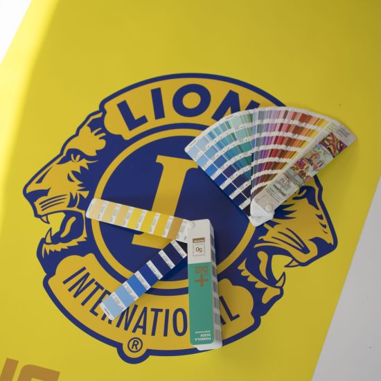 logo in Pantone 287 C and 7406 C on banner