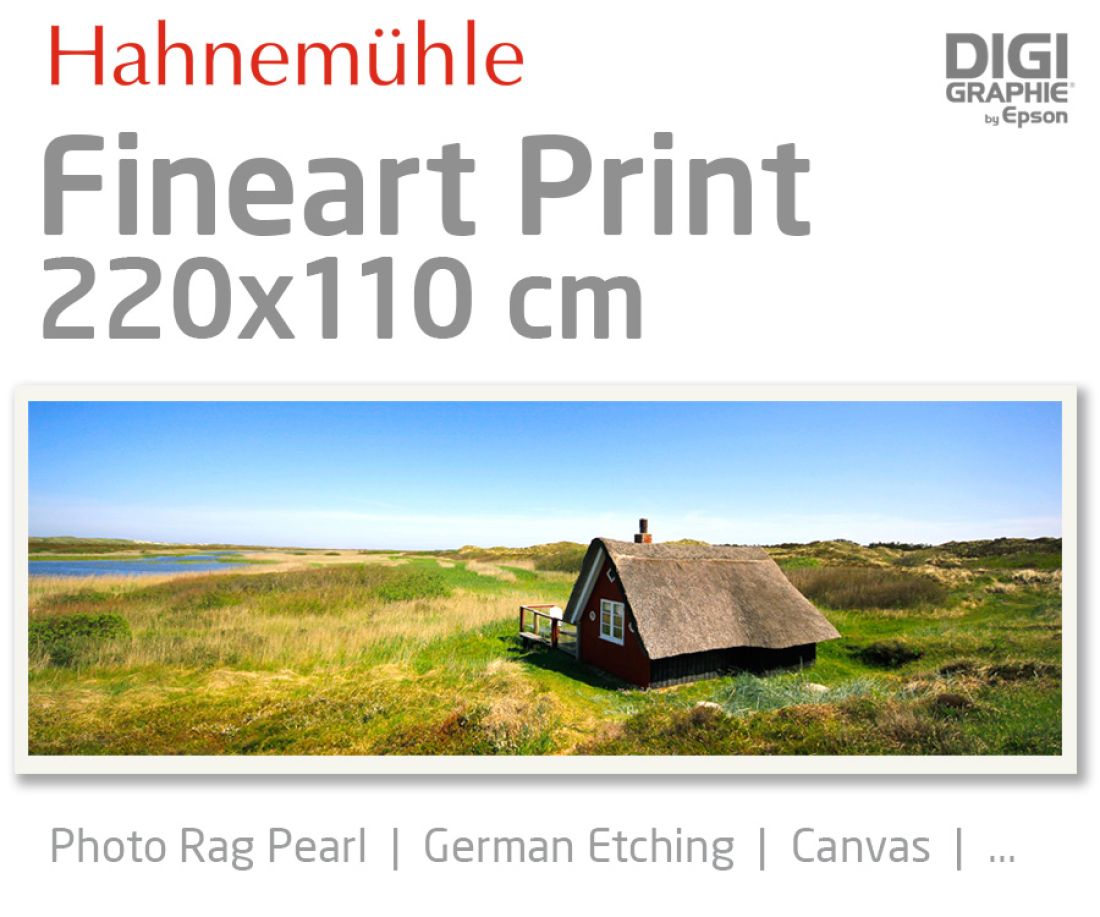 220x110 cm Fineart Druck mit 1440x2880 DPI auf Hahnemühle Fineart-Papieren wie Photo Rag, German Etching, Canvas, Premium Photo Glossy