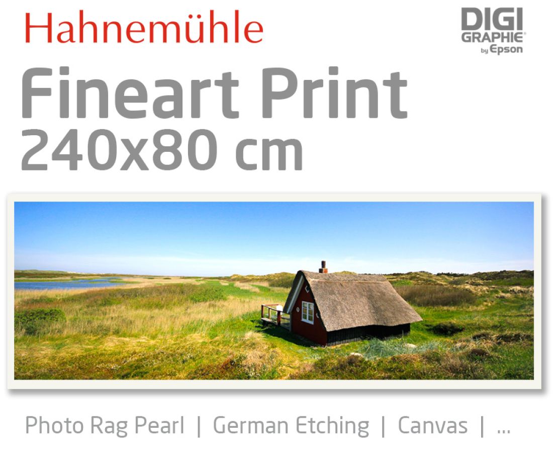 240x80 cm Fineart Druck mit 1440x2880 DPI auf Hahnemühle Fineart-Papieren wie Photo Rag, German Etching, Canvas, Premium Photo Glossy