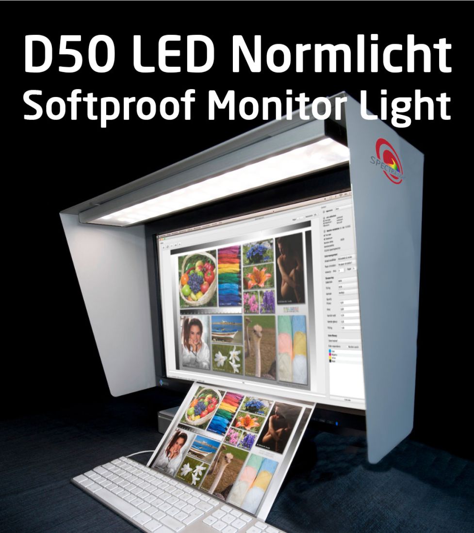 D50 LED Normlight Desktop Lamp