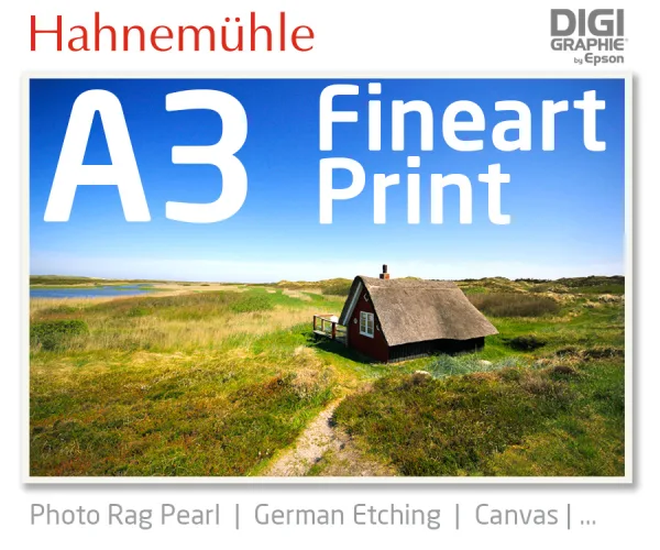 DIN A3 fineart print med 1440x2880 DPI på hahnemühle fineart-papirer som Photo Rag, German Etching, Canvas, Premium Photo Glossy