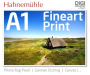 DIN A1 Fineart Druck mit 1440x2880 DPI auf Hahnemühle Fineart-Papieren wie Photo Rag, German Etching, Canvas, Premium Photo Glossy